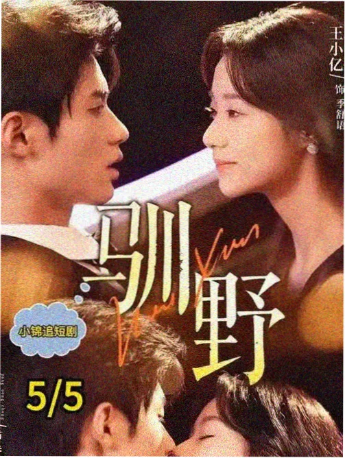 青春乐谱 免费电视剧在线